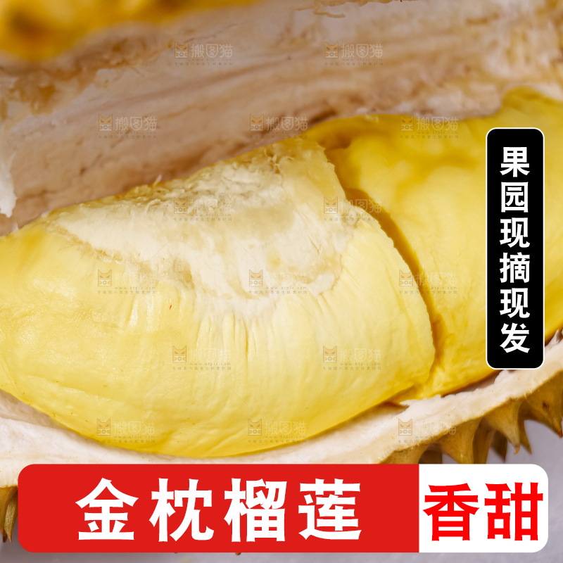 金枕榴莲