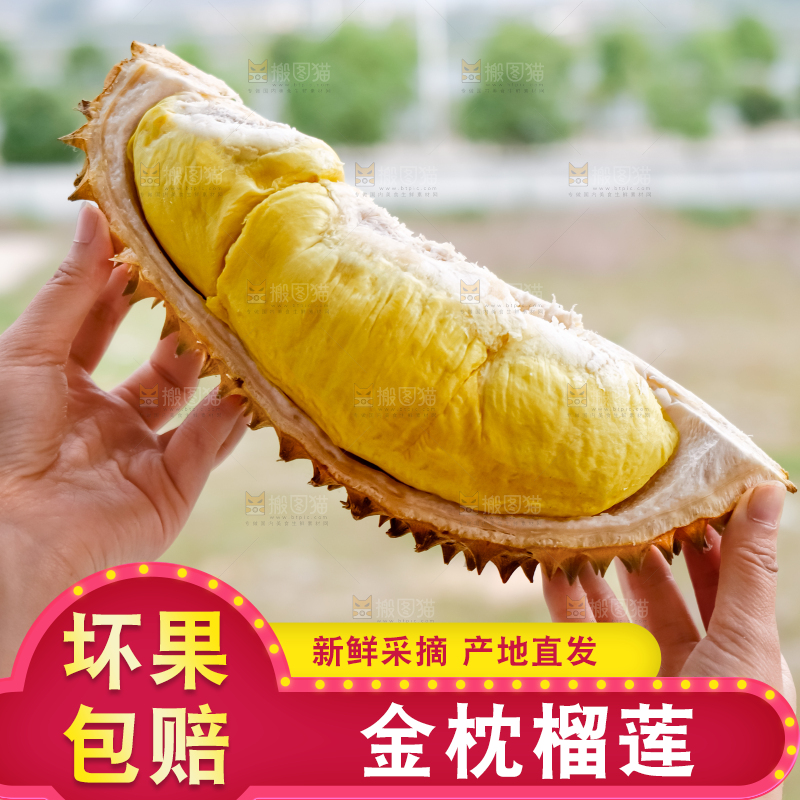 金枕榴莲