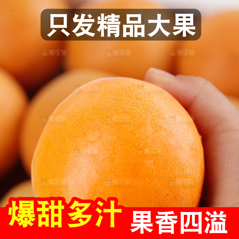 大黄杏