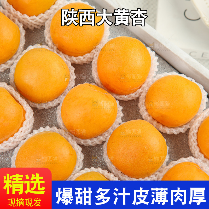 大黄杏