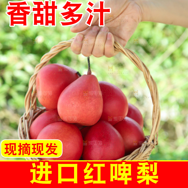 红啤梨
