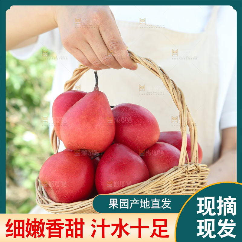 红啤梨