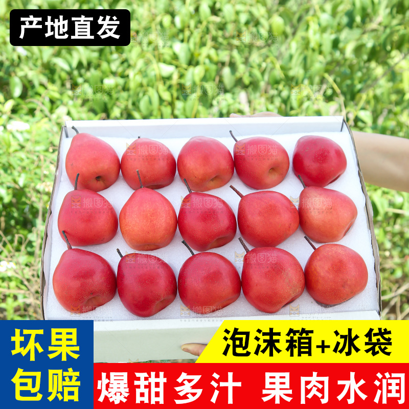 红啤梨