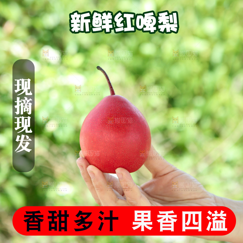 红啤梨
