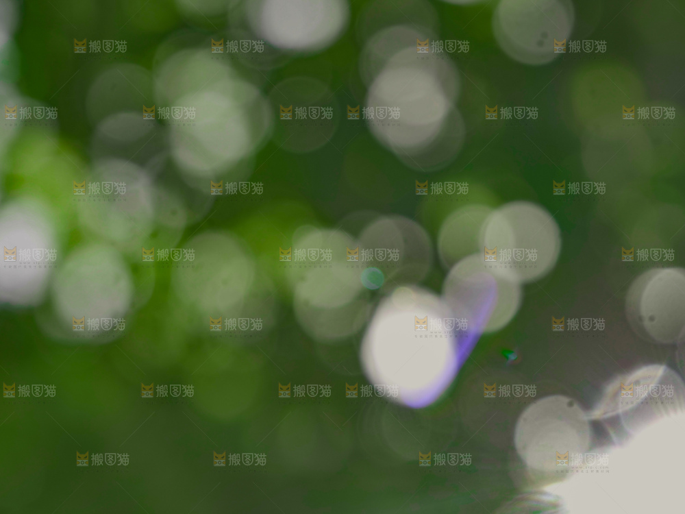 树林光晕
