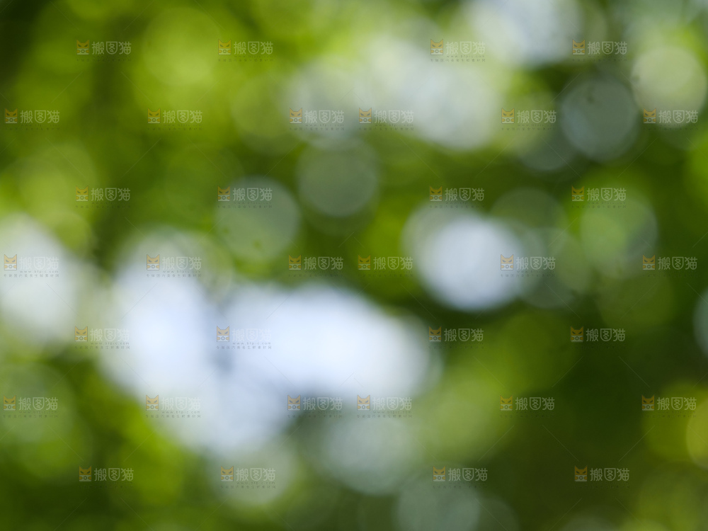 树林光晕