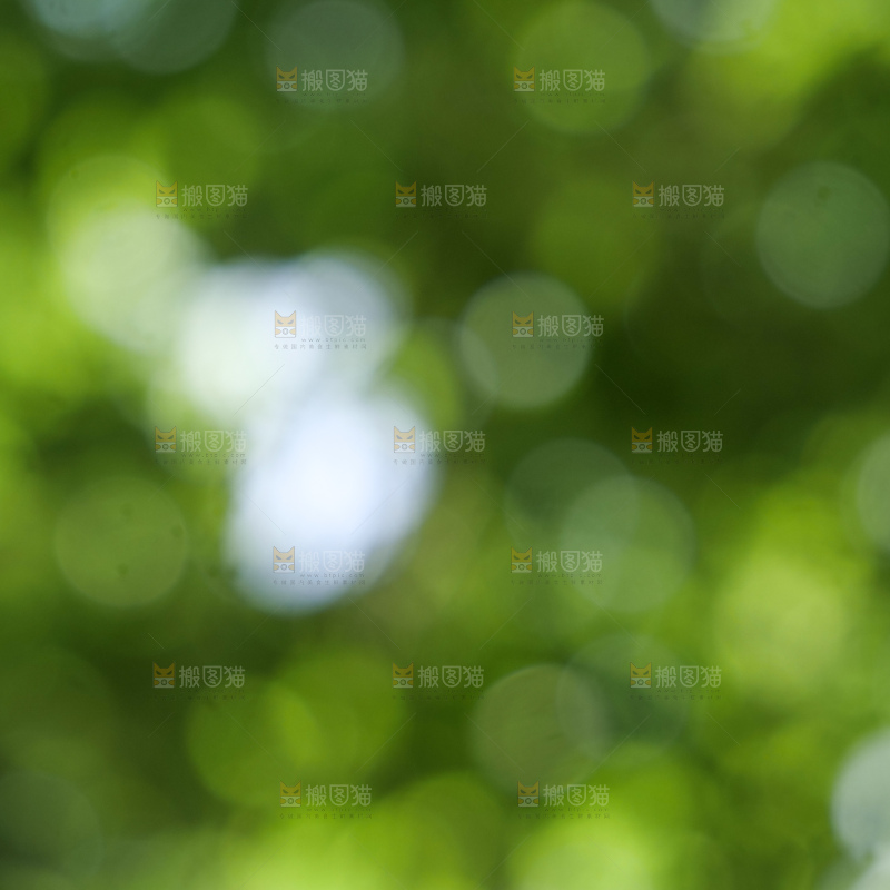 树林光晕