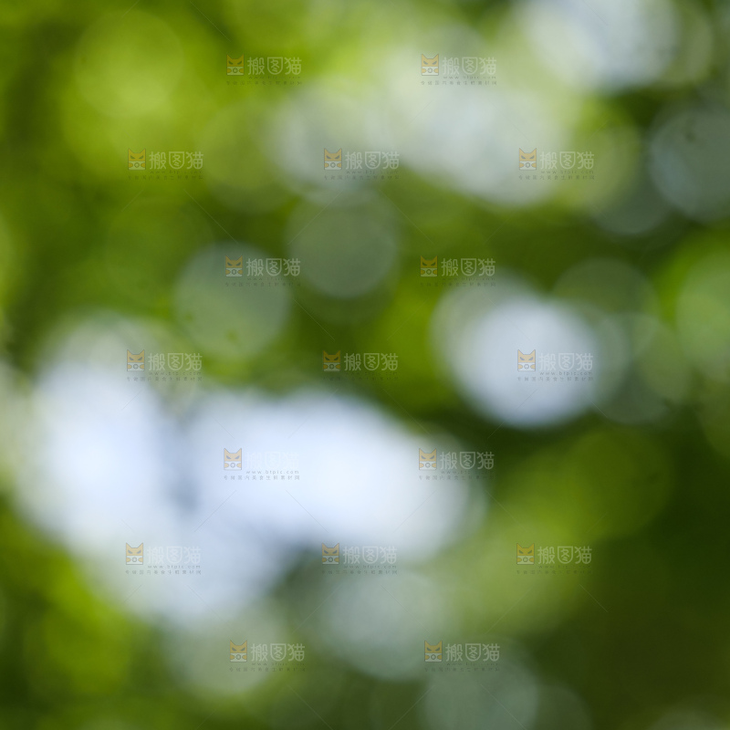树林光晕