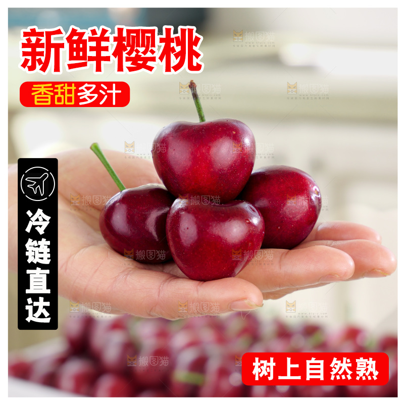 樱桃