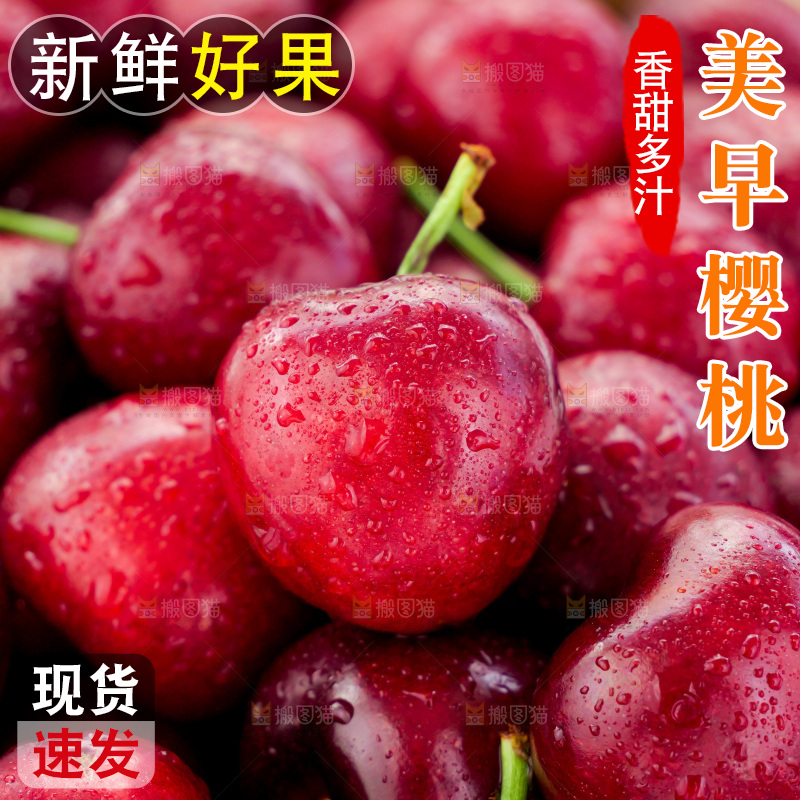 樱桃