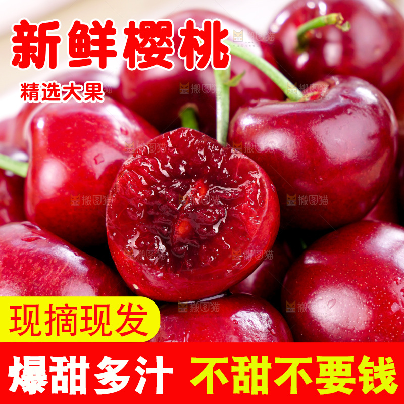 樱桃