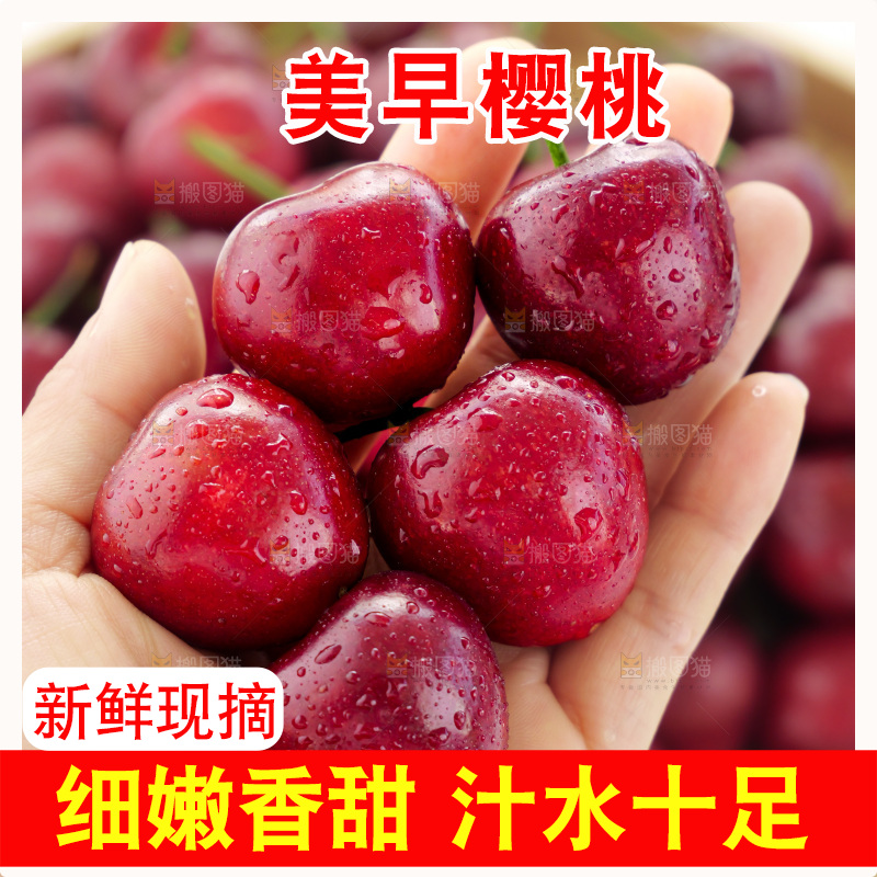 樱桃