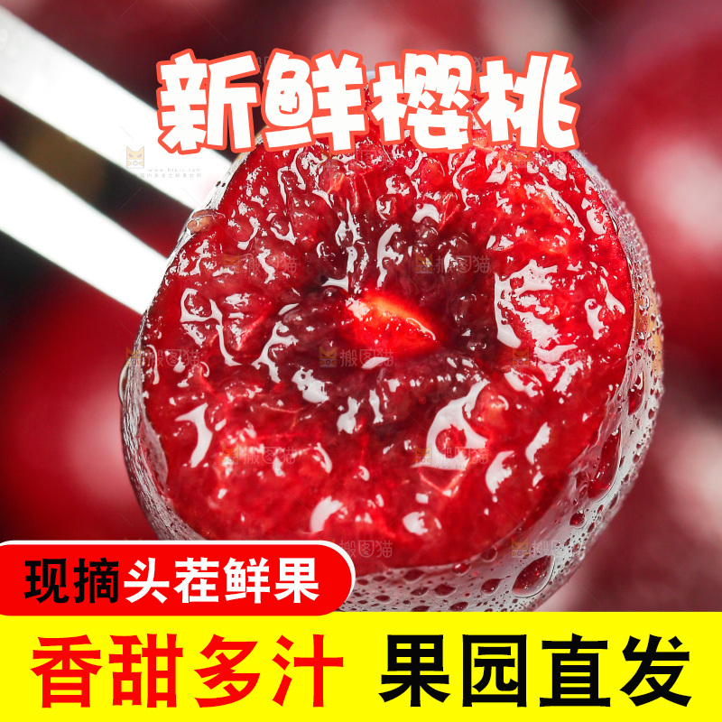 樱桃