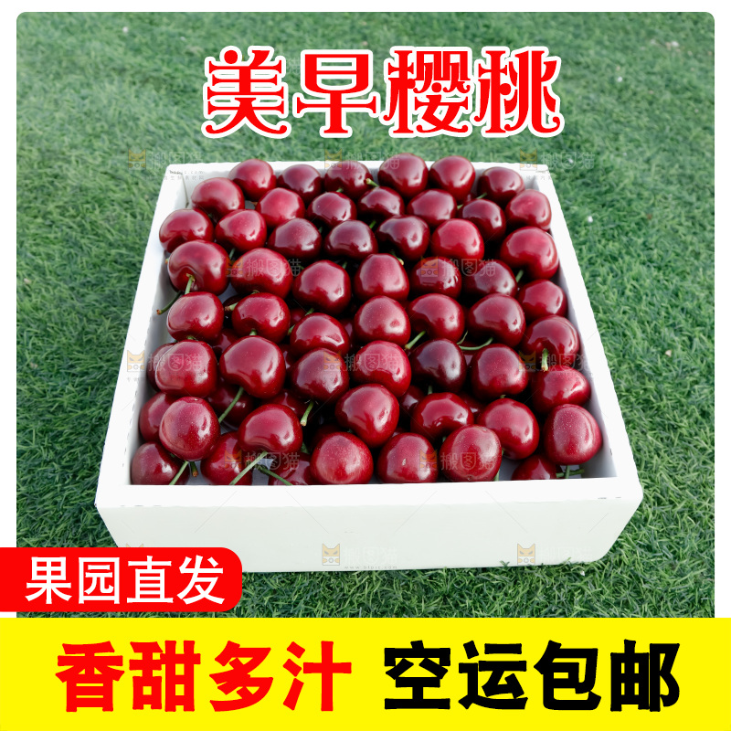 樱桃