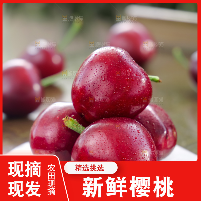 樱桃
