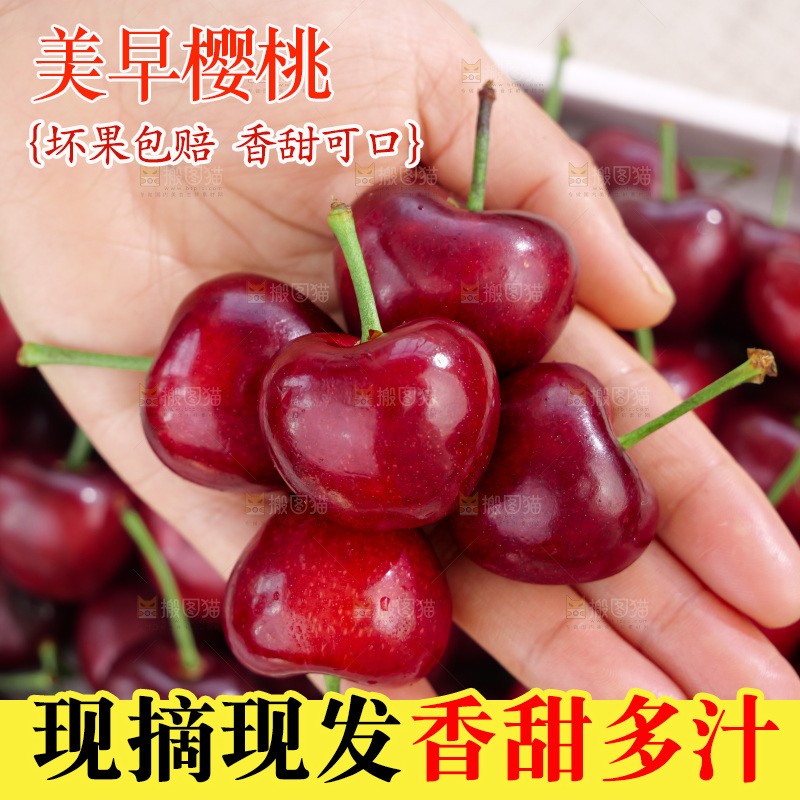 樱桃