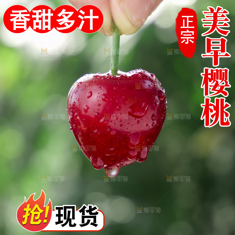 樱桃