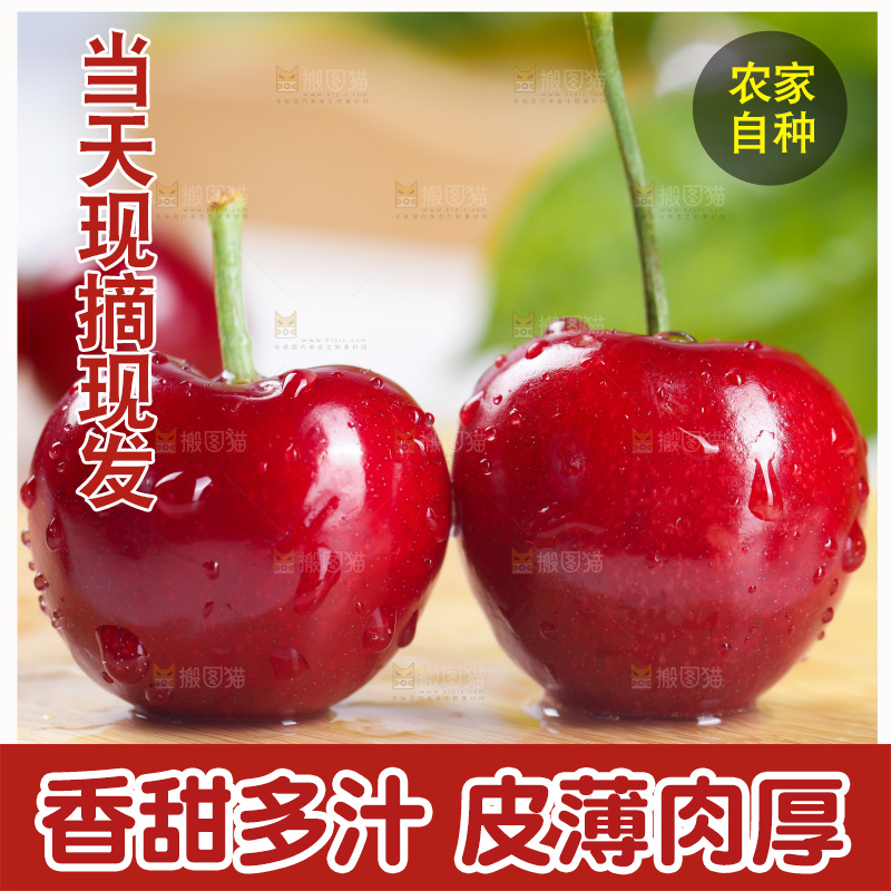 樱桃