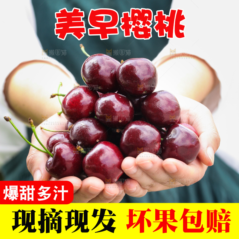 樱桃