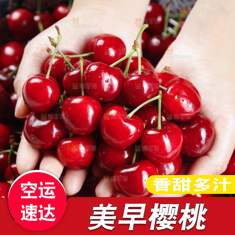 樱桃