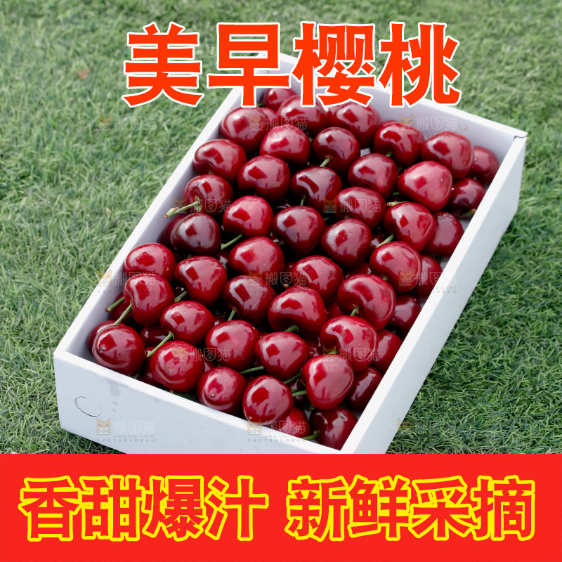 樱桃