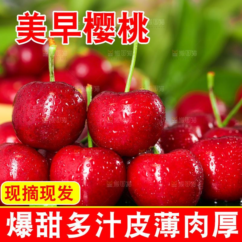 樱桃