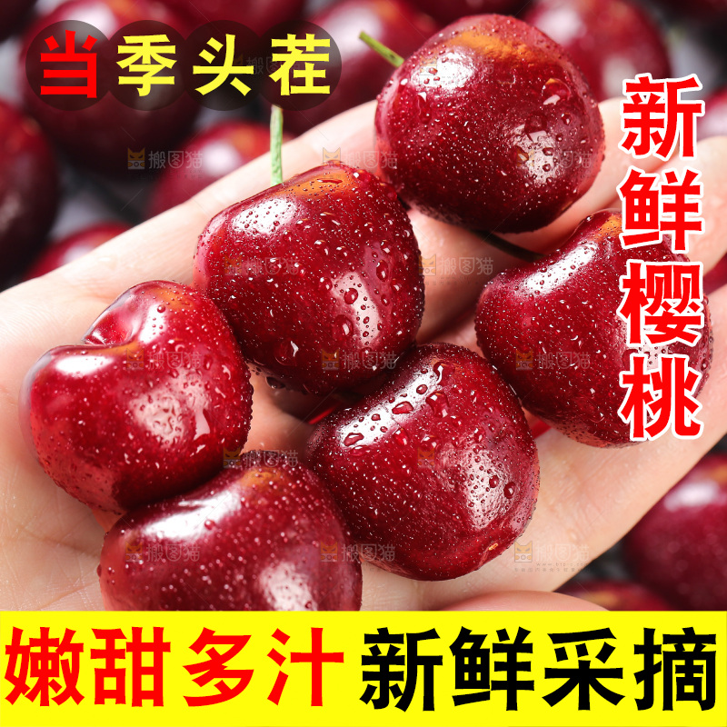 樱桃