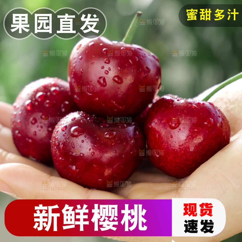 樱桃