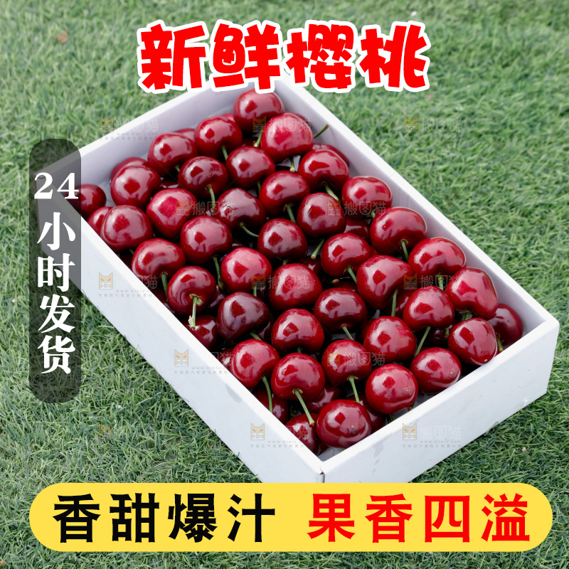 樱桃