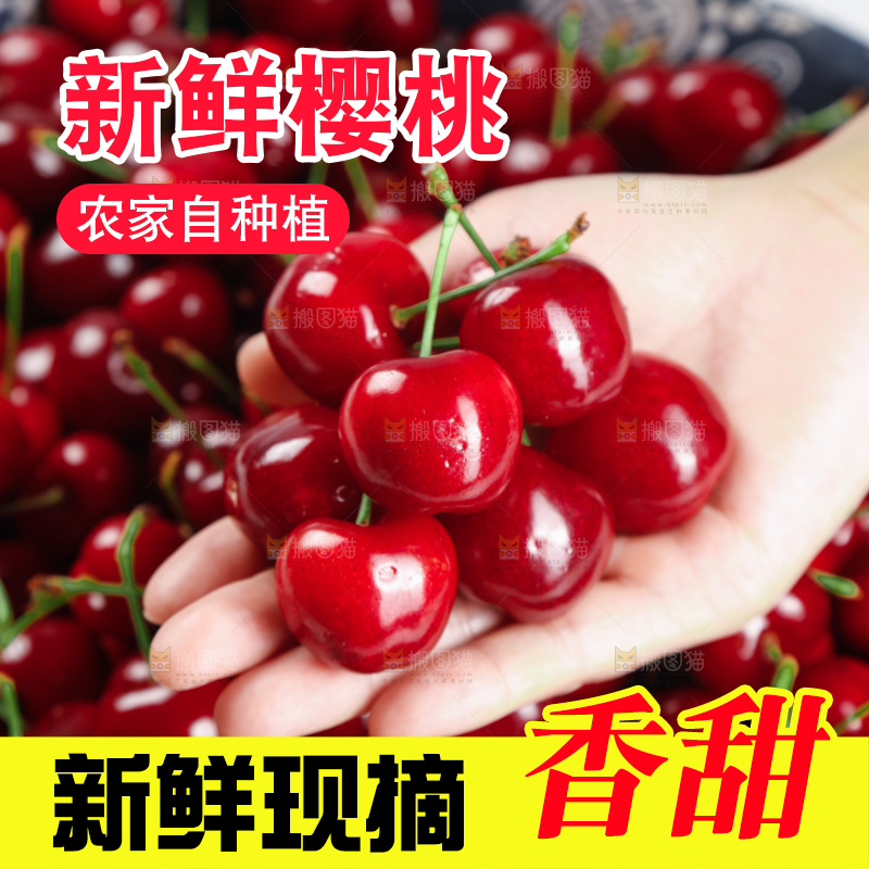 樱桃
