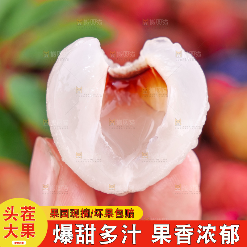 白糖罂荔枝