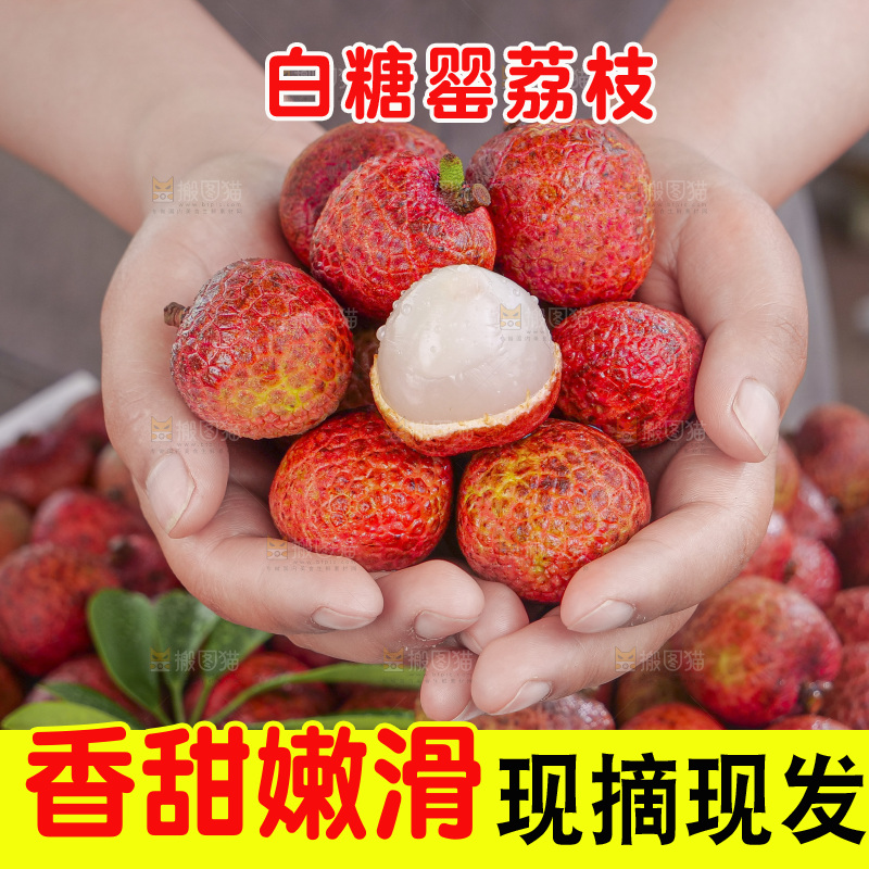 白糖罂荔枝