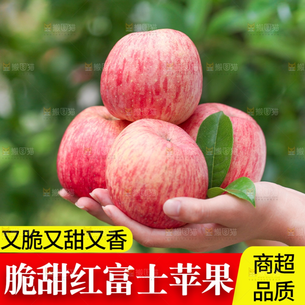 苹果主图
