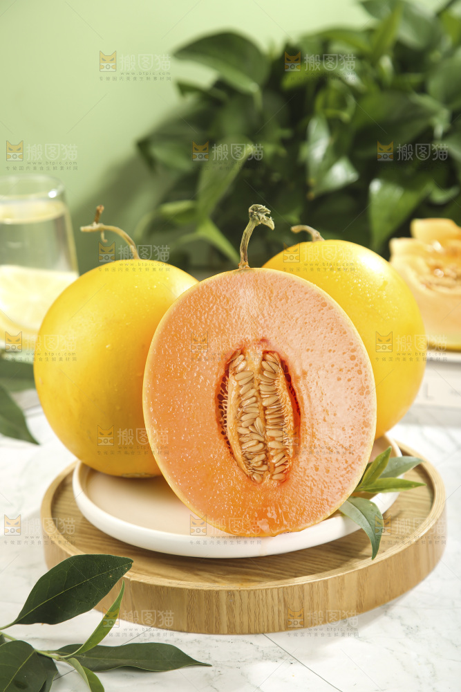 黄河蜜瓜