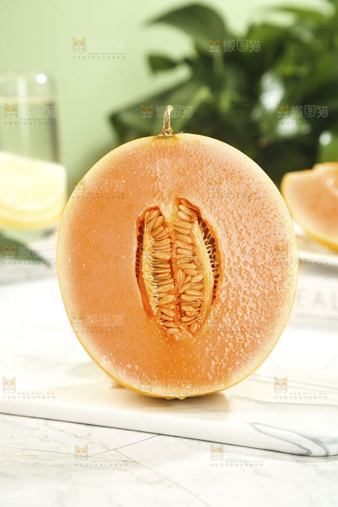 黄河蜜瓜
