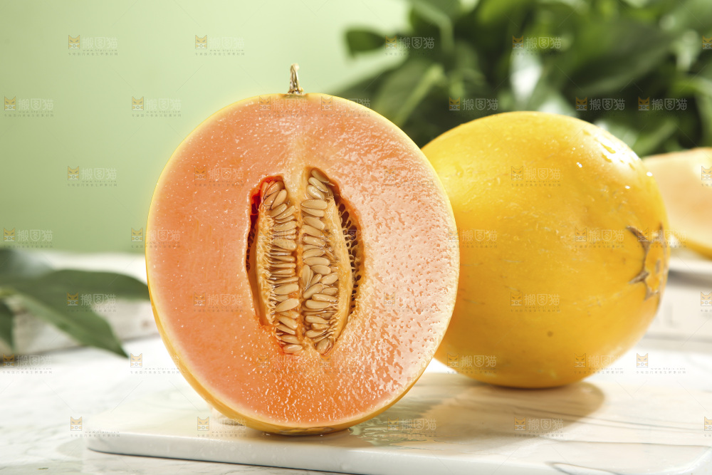 黄河蜜瓜