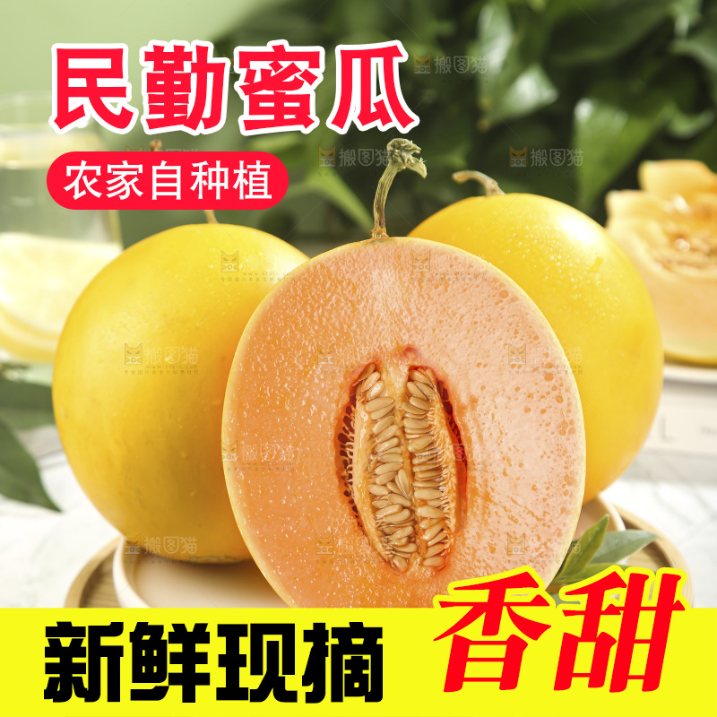 黄河蜜瓜
