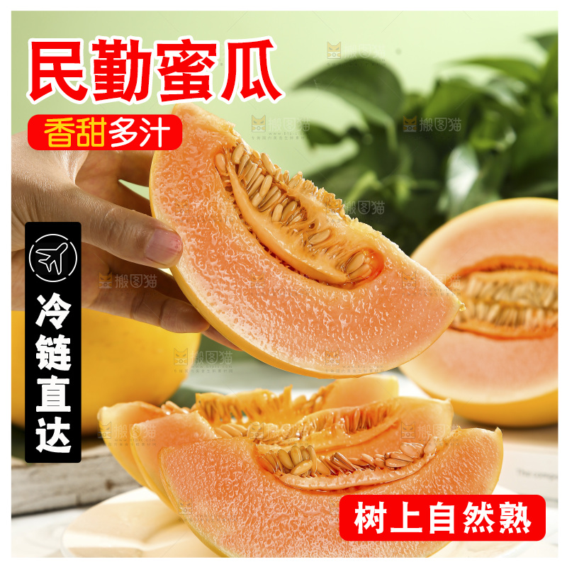 黄河蜜瓜