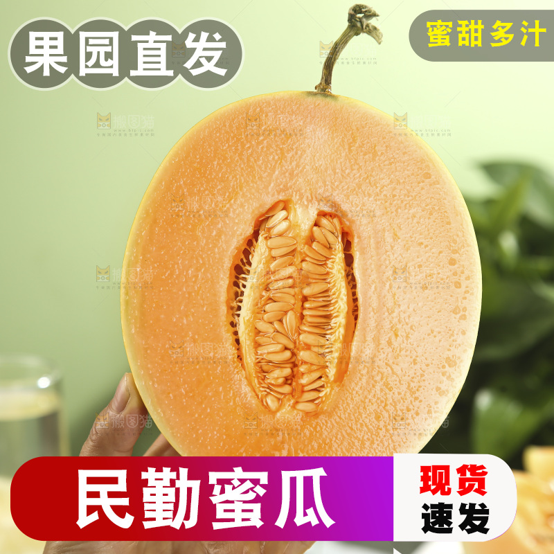 黄河蜜瓜