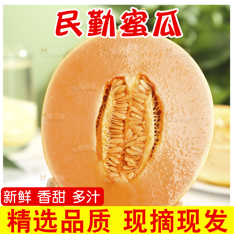 黄河蜜瓜
