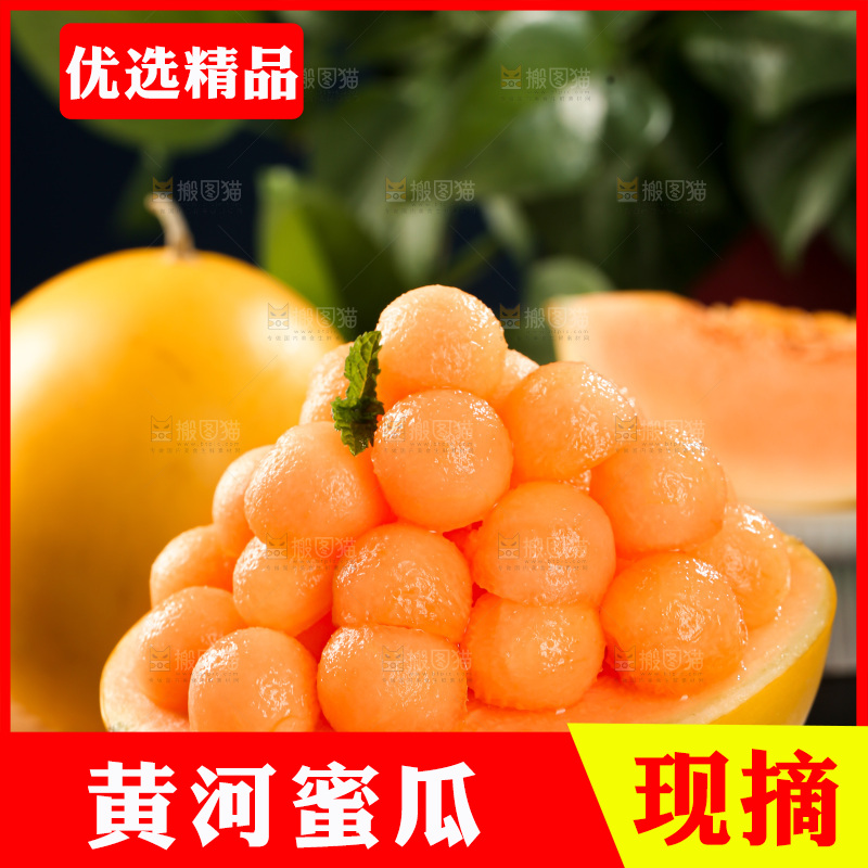 黄河蜜瓜