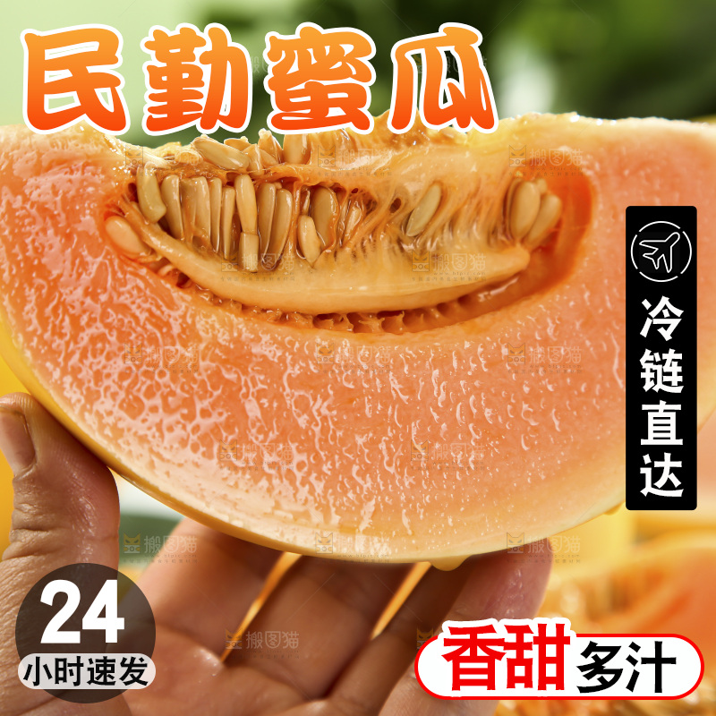 黄河蜜瓜