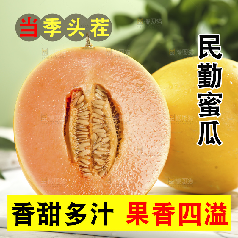 黄河蜜瓜