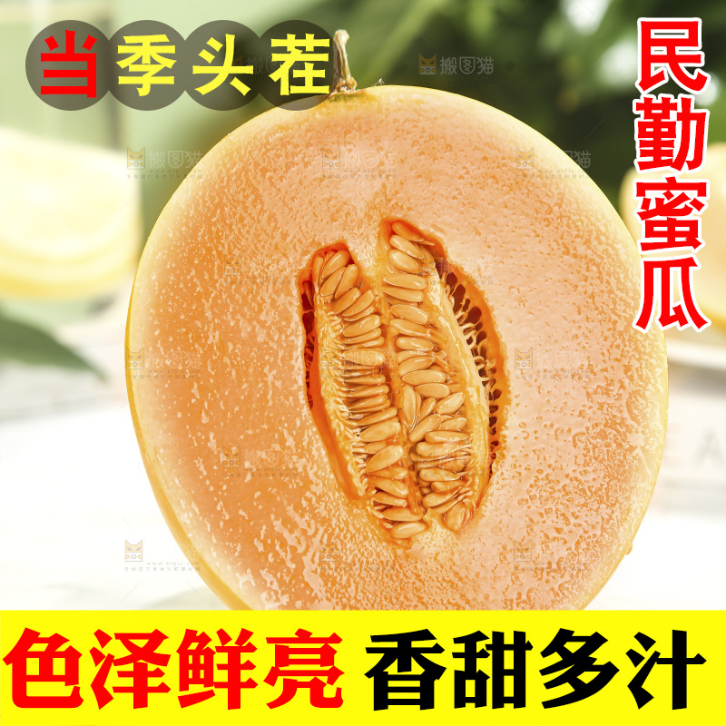 黄河蜜瓜