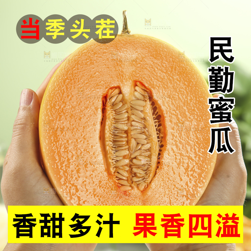 黄河蜜瓜