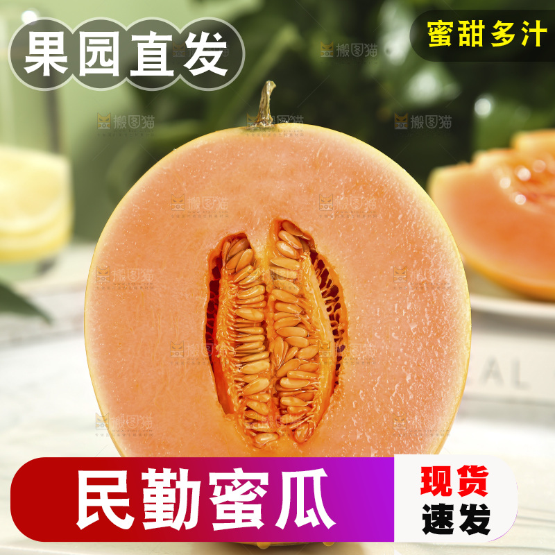 黄河蜜瓜