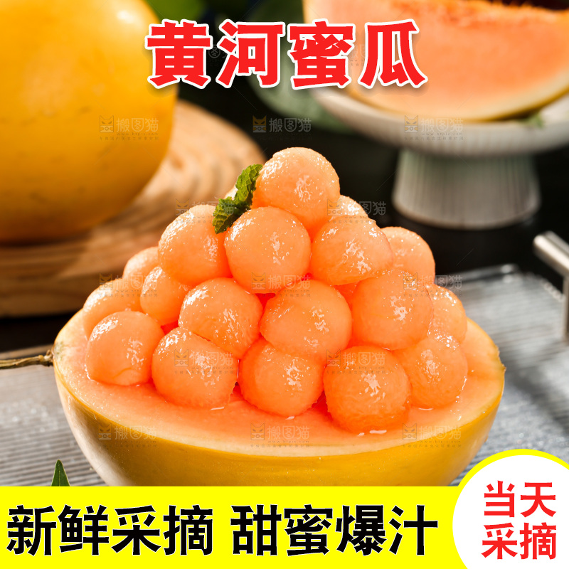 黄河蜜瓜