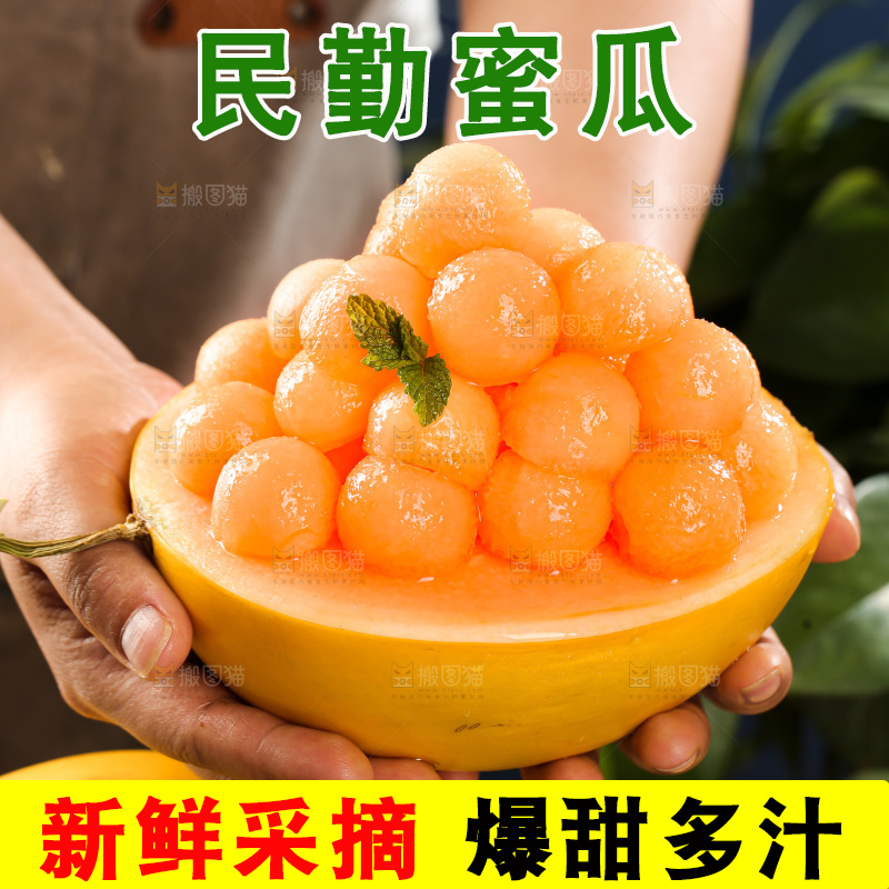 黄河蜜瓜