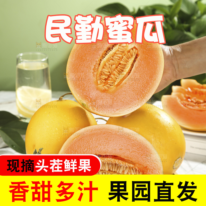 黄河蜜瓜