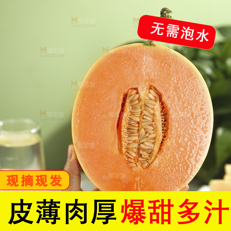 黄河蜜瓜